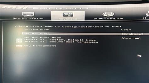 How to Enable TPM 2.0 and Secure Boot for Windows .